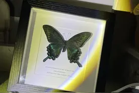 分手前的最后一句话，句句封神图片