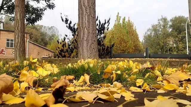 长期坚持跑步的4个危害，看完你还想跑吗？