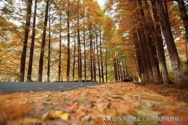 全国十佳！汉中这条公路太火了！