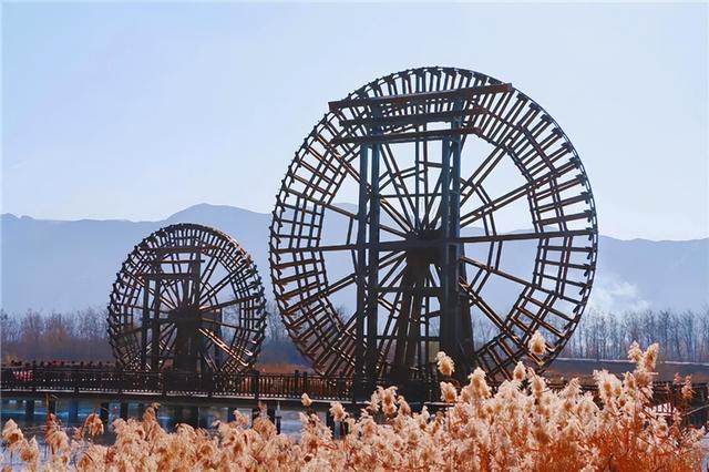 【联动宣传】在白银水川湿地，与冬天第一次握手