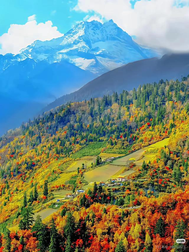 手机壁纸精美图片(162)