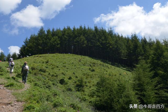 河北麻田岭（上）：绿野铺毡接云影、风轮伴路探山魂