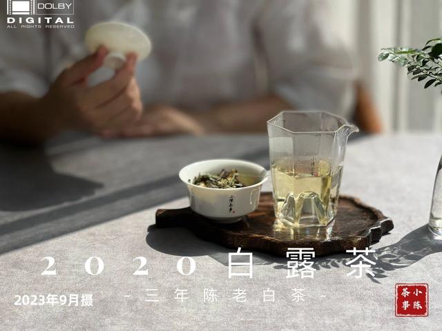 5点技巧教你喝茶闻香，附上实拍图，零基础新手也能学会