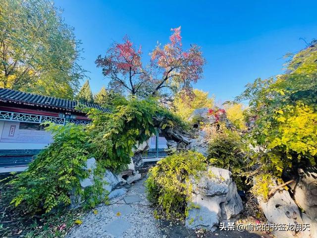 杨大爷游“北京大观园”