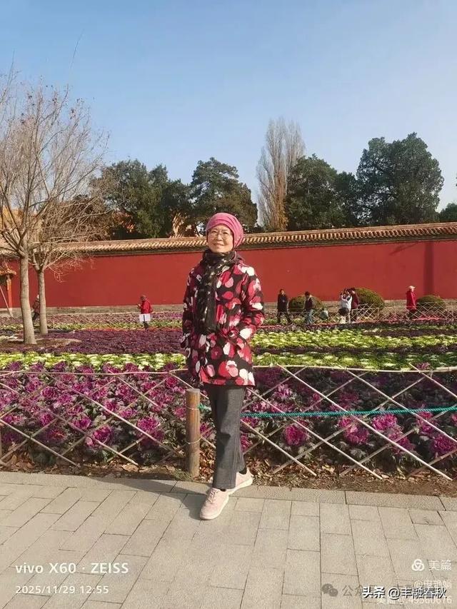 北京景山公园羽衣，冬园锦色｜申艳娟