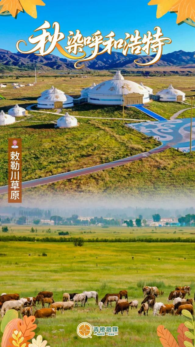 呼和浩特的第一片秋色将从哪里开始？官方答案来了！