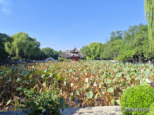这个时候参观保定古莲花池景区有点时间不对，但还是进来转一圈
