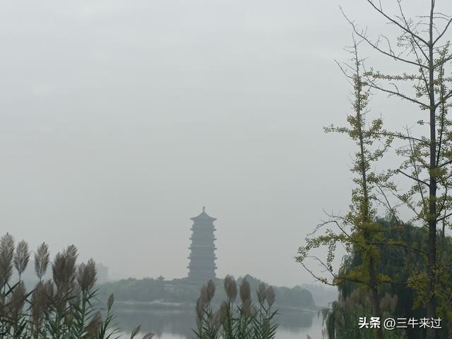 无为在歧路，国庆游淄博4