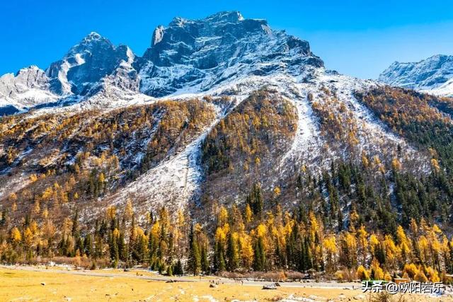 是什么让资深驴友每年秋天都偷偷跑去川西？？