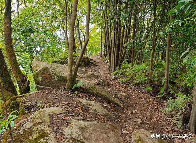 成都彭州5条爆红徒步线路，被严重低估，全部免费，景色秀美！
