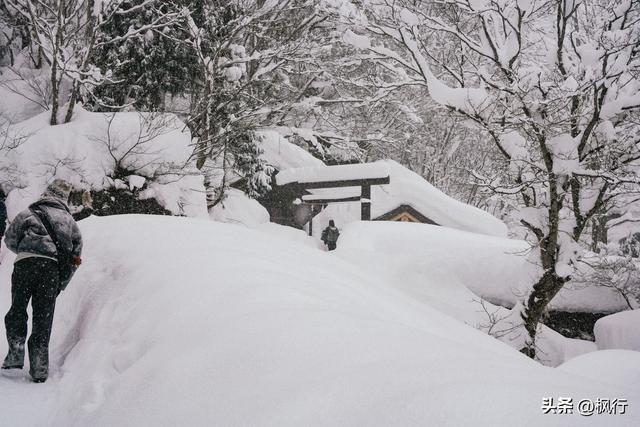 说起冬季日本看雪，难道只有北海道吗？