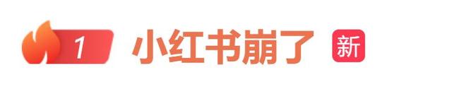 小红书崩了！客服回应