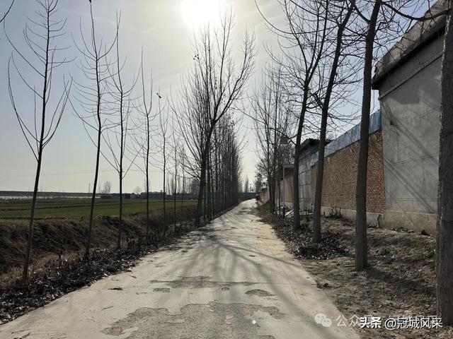 冠县乡韵·辛集镇饮马庄