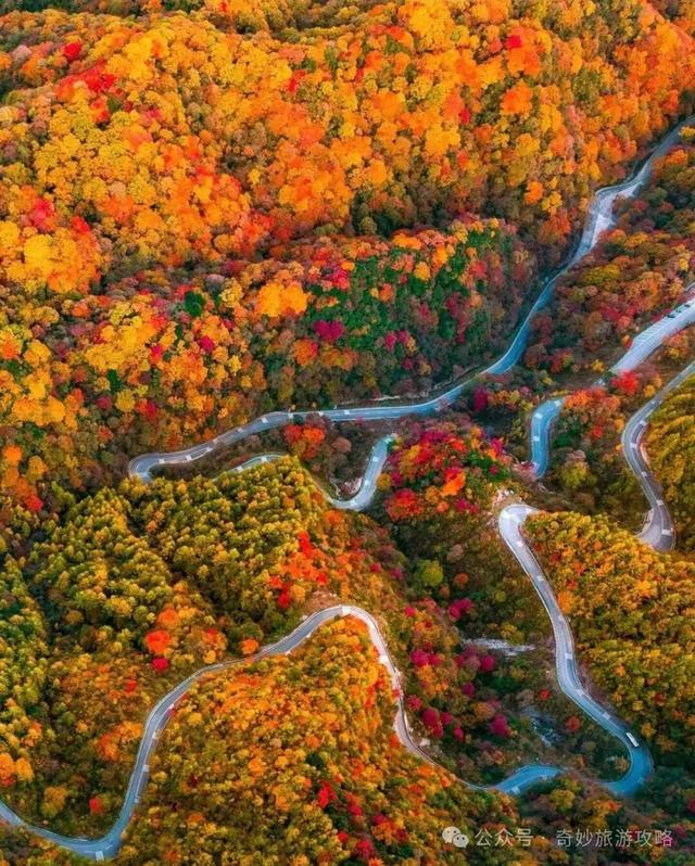 奇妙旅游攻略｜摄影天堂～四川光雾山之秋