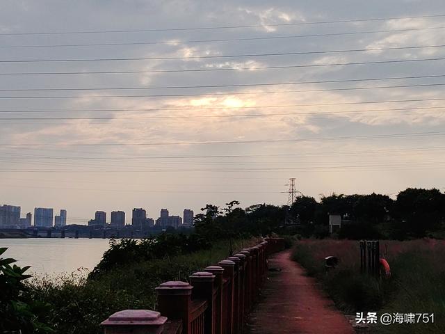 佛山三水芦苞花海生态公园