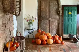 为什么婆家人轻视你还欺负你，因为你缺少这三样东西！！图片