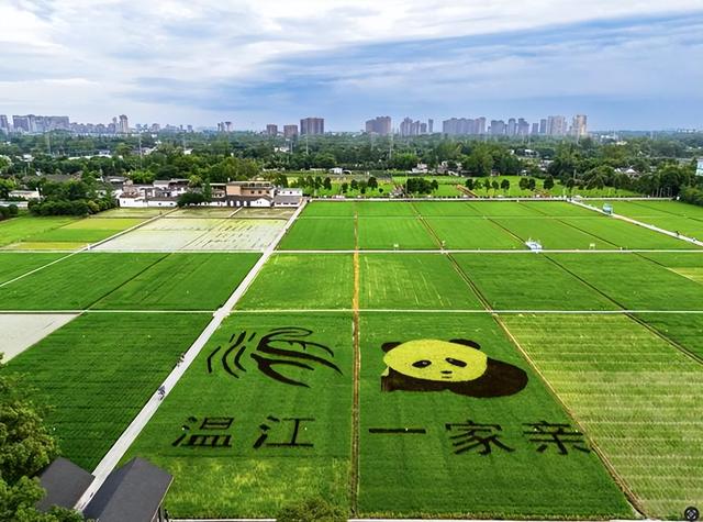 微度假到成都温江！这份攻略请查收