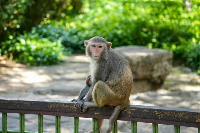 当北方寒风刺骨时，陵水正以25℃暖阳等你来过暖冬！