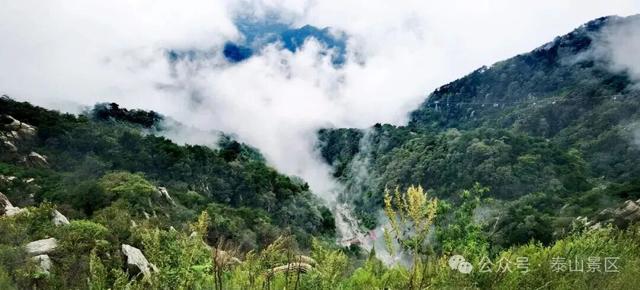我想离开浪浪山，去看看泰山的四季轮转！