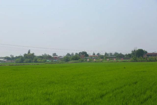 【文明旅游】太原：难老泉润稻荷香