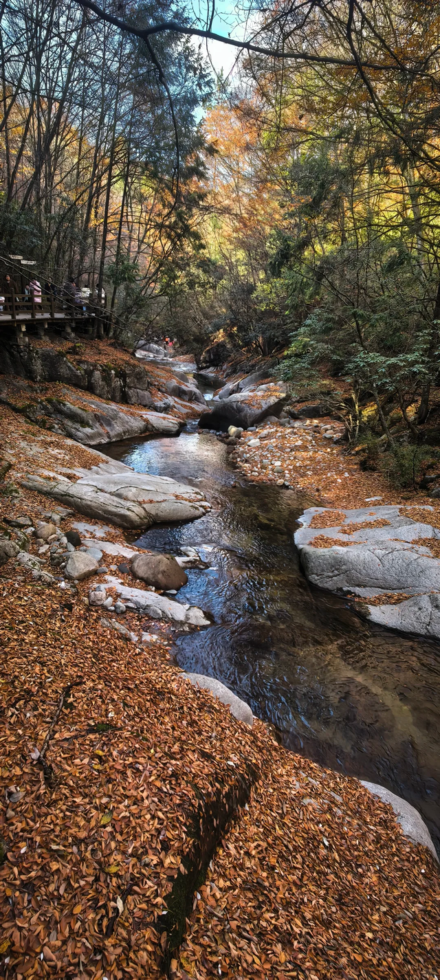 听劝！别再去光雾山米仓山人挤人，红叶没有啦！