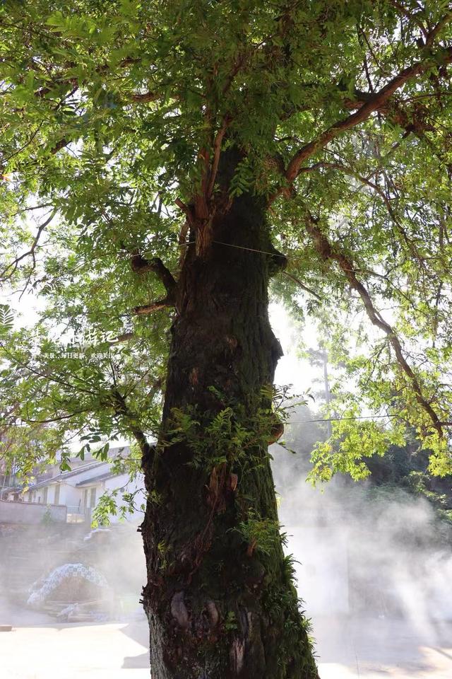 浙江宁波这个古村因水潭而得名，居于山岙犹如桃源秘境，适合徒步