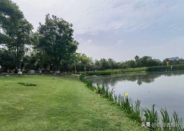 成都市内乘凉公园，风景秀美、清凉，不要门票，地铁公交可达！