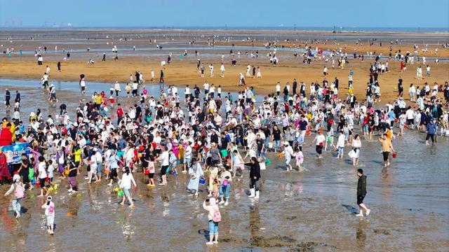 “刘家湾赶海”案例荣获第七届“中国服务”·旅游产品典型创意案例，以创新实践树立滨海文旅新标杆！