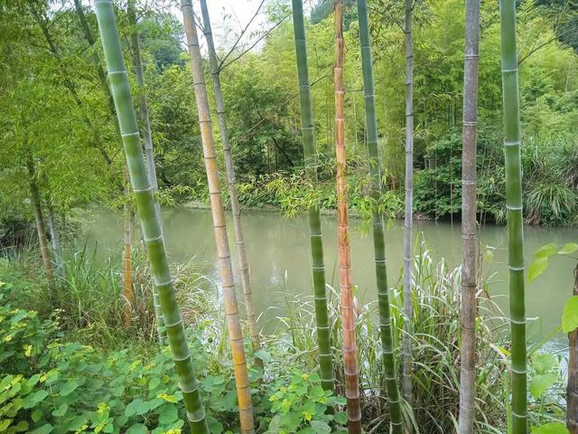 端阳喜伴小溪河，独有诗心迷远足——徒步小溪河散记（三）