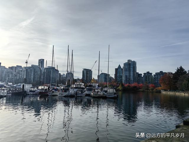 温哥华游记（四）