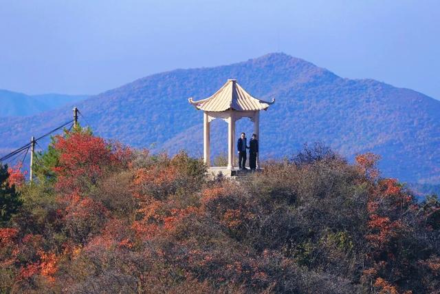 渑池坡头红叶拍摄记：一场迟来的秋日邂逅