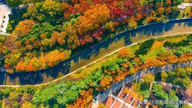 走不出这画了，我已被西海岸的秋景迷倒 🥹