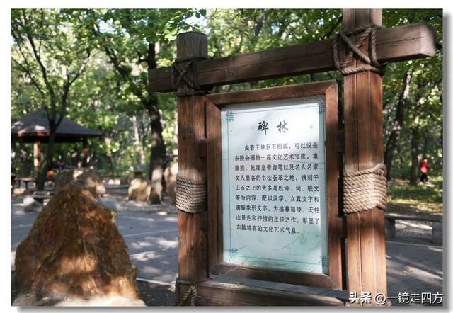 沈阳东陵郊野公园“精灵”出没