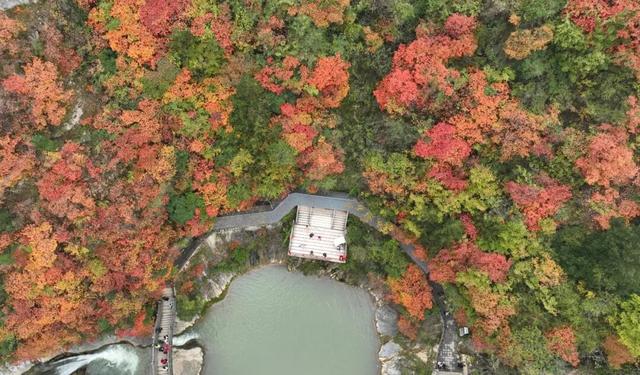 这才是秋天该有的样子~