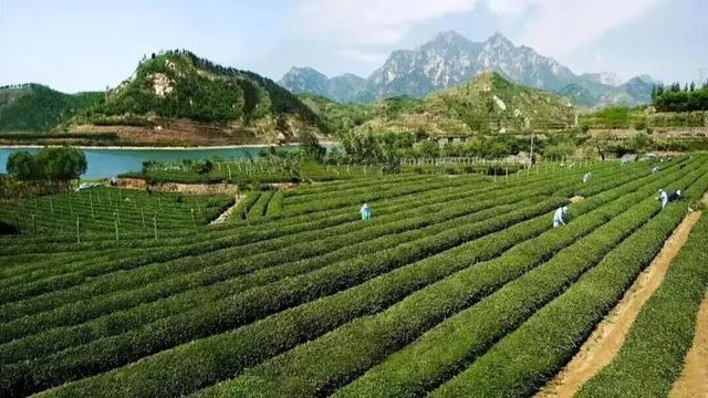 宝藏小城“县”在出发，这是泰山区