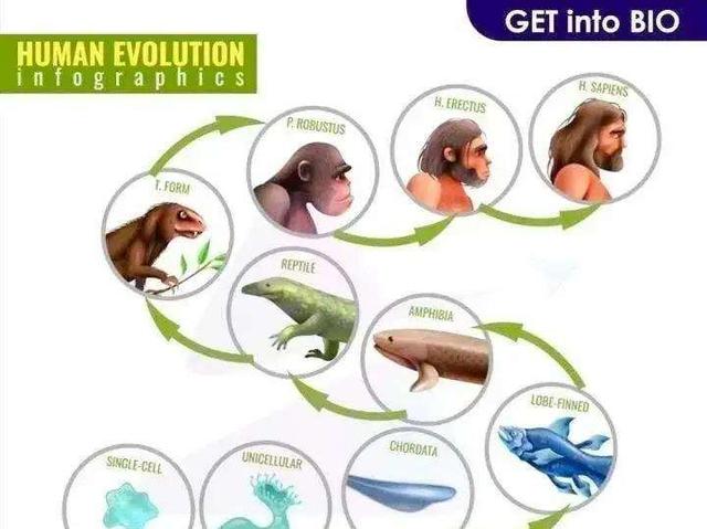 若月球背面被科学家证明存在一艘废弃飞船，对人类意味着什么？