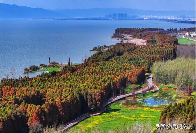 2025最新观鸥地图：这些地方“鸥”气值MAX，拍照直接封神！