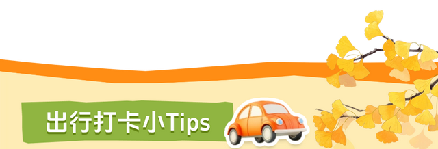 在山东这座小城，我亲手淘到了闪闪的金子！