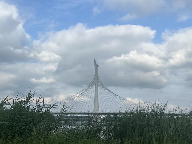 8月石家庄的滹沱河