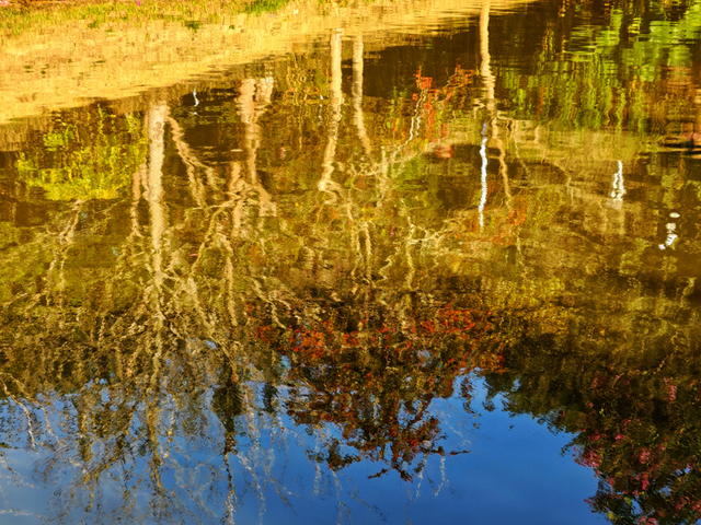 南山秋艳！云浮市民前来打卡→