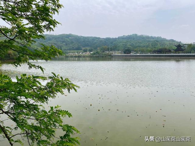 2023年春重庆探亲记（三）