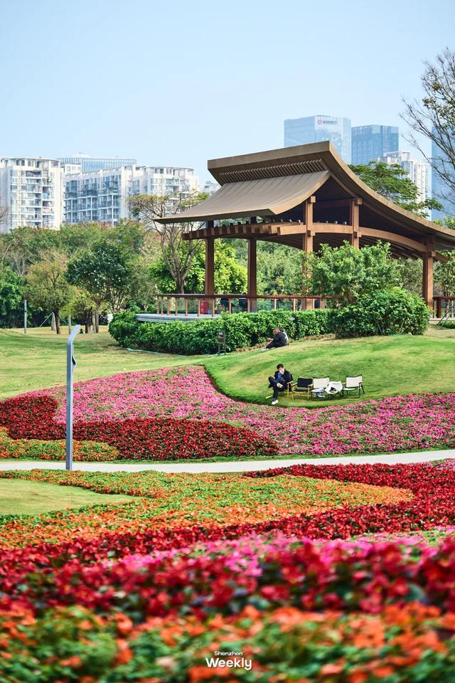 深圳的未来,为什么看前海?