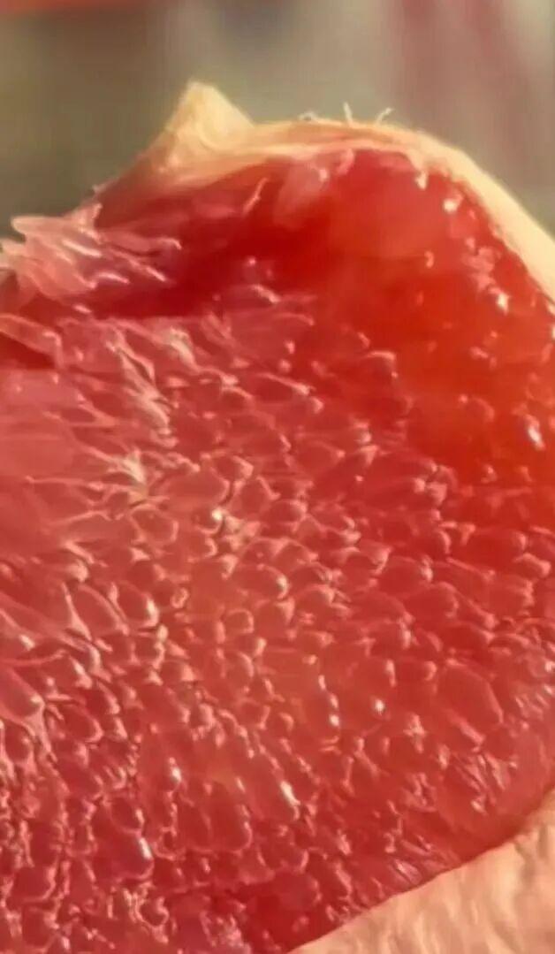 游在鹰潭 | 周末采摘指南！甘蔗清甜、草莓香甜，限定甜蜜等你来【全球学子嘉游赣 奇绝鹰潭逍遥游】