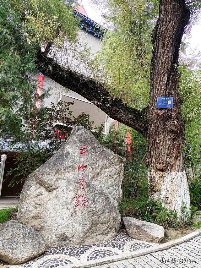 兰州市五泉山公园掠影 风景 古建 古树 雕塑 广场