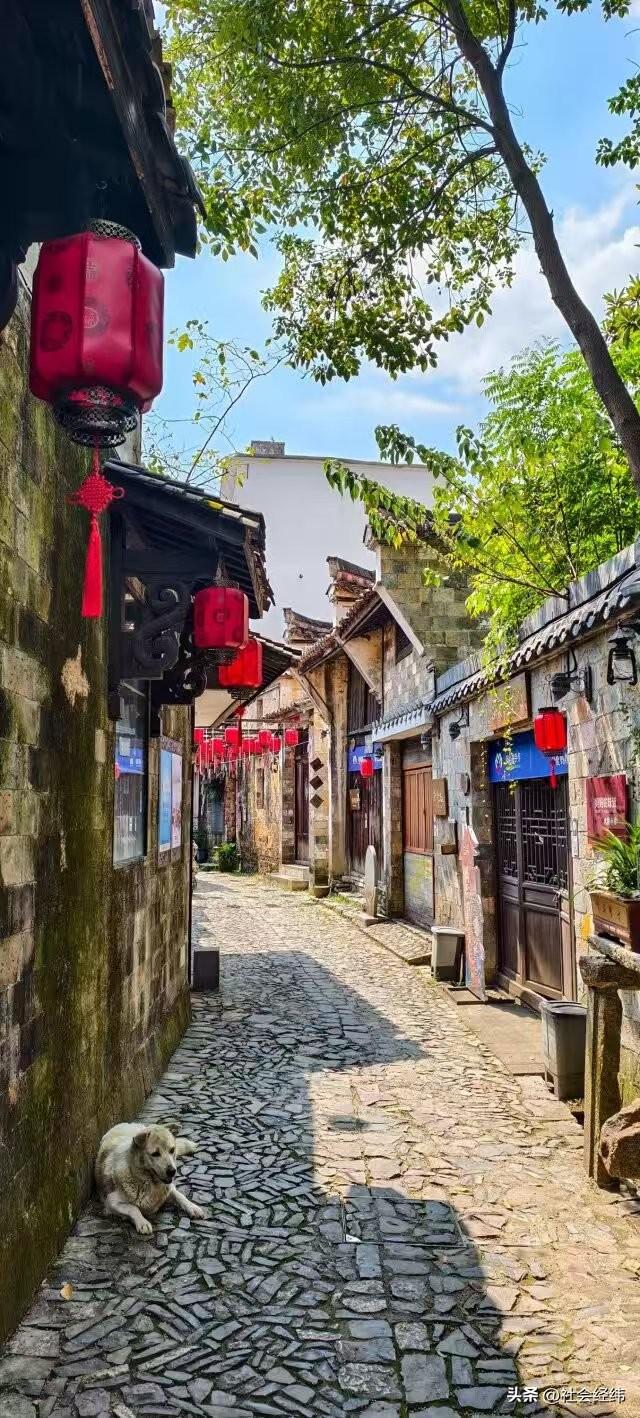 中国村歌发祥地浙江大陈村：600年古村蕴文脉 村歌唱响烟火气