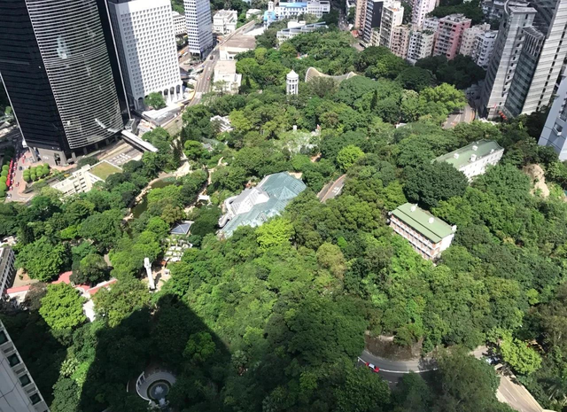 香港畸形的城市设计：大量民众在睡劏房，绿化却超过东京和首尔