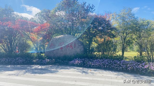 美丽吉安：初冬的井冈山挹翠湖公园风光迷人（摄/王伟）