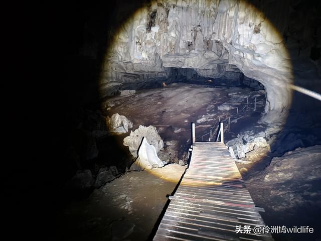 马来西亚(32)砂拉越州⑥世界遗产尼亚洞窟探险