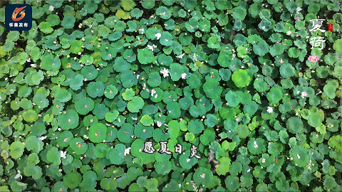 大美怀集！距离县城30多公里，有一处秘境