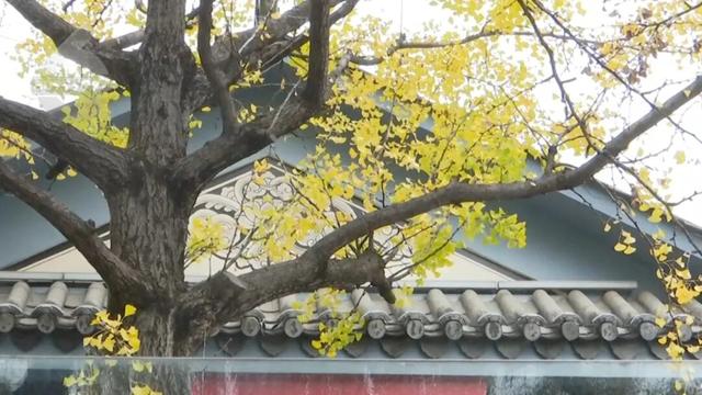 “人少不挤+暖阳鸥遇”，昆明“杀”进淡季旅游热门榜！